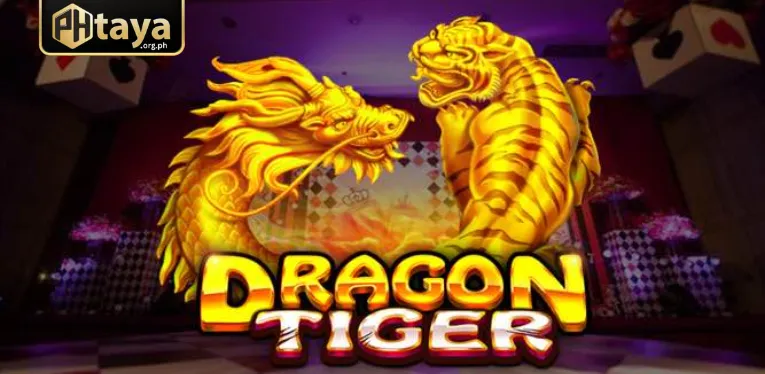 Experience in participating in Dragon Tiger