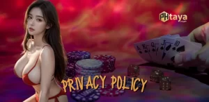 Privacy Policy