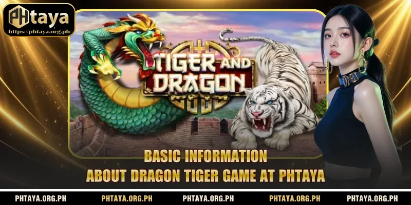 Basic information about Dragon Tiger game at Phtaya