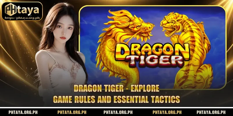 Dragon Tiger - Explore Game Rules And Essential Tactics
