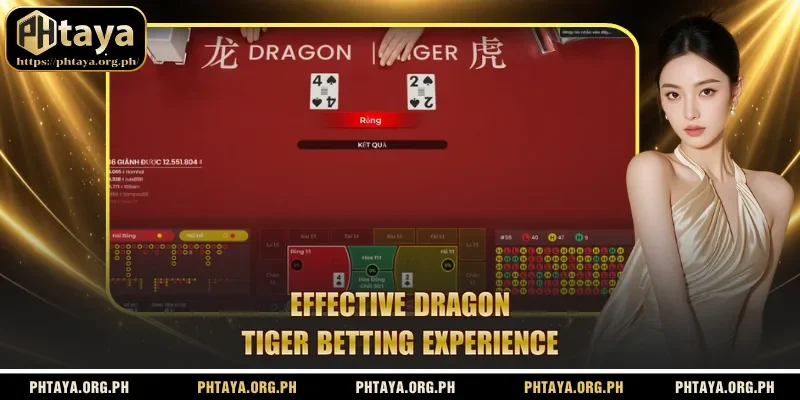Effective Dragon Tiger betting experience